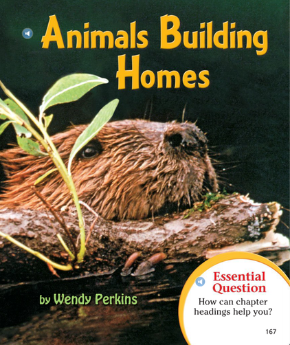 Lesson 6 Animals Building Homes - 2nd Grade